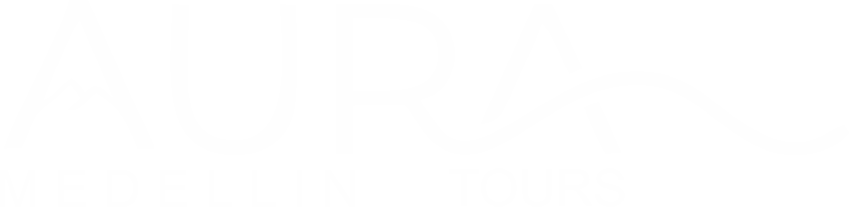 auramedellintours.com